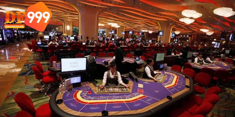 Casino Phú Quốc Ở Đâu? Hướng Dẫn Đường Đi Và Các Dịch Vụ