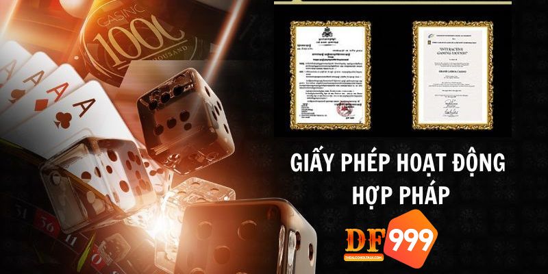 Giấy hoạt động hợp pháp của DF999