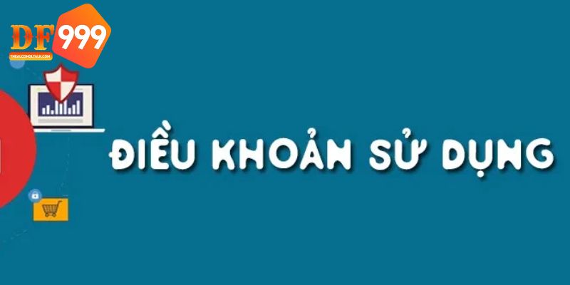 Hãy nắm lấy những điều khoản sử dụng này để bảo vệ quyền lợi cho mình